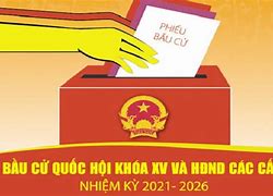 Quyền Bầu Cử Và Ứng Cử Là Gì Gdcd 12