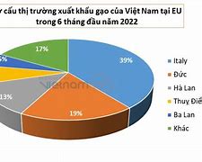 Xuất Khẩu Gạo Sang Eu 2023